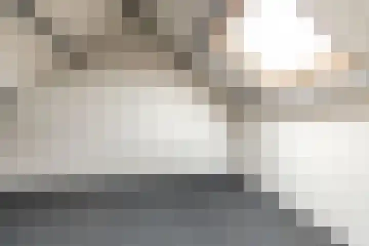 Bruine Berk 7 Zundert thumbnail 28