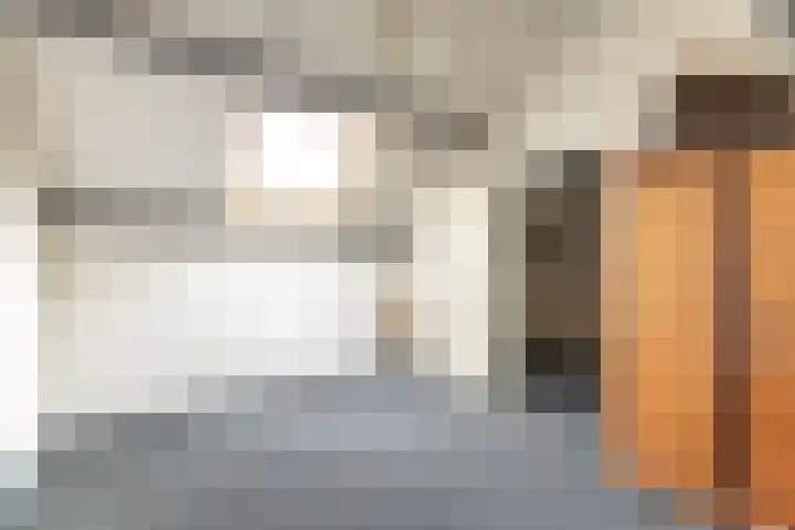 Bruine Berk 7 Zundert thumbnail 29