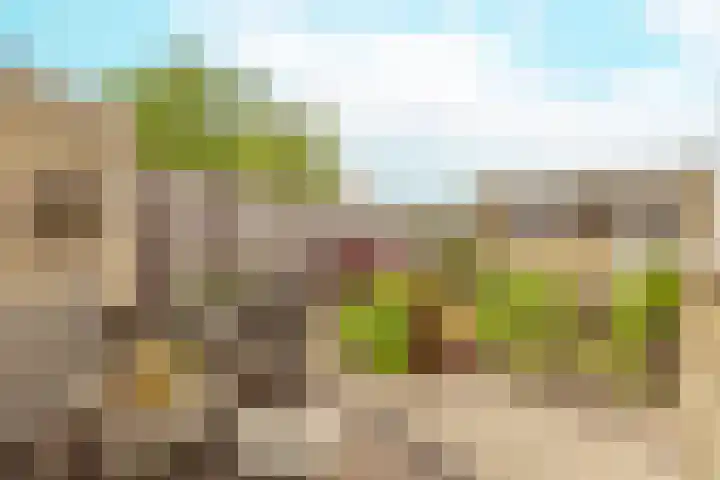 Bruine Berk 7 Zundert thumbnail 30