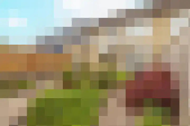 Bruine Berk 7 Zundert thumbnail 34