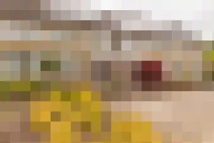 Bruine Berk 7 Zundert thumbnail 36