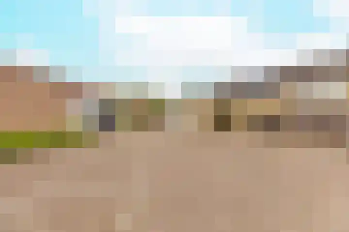 Bruine Berk 7 Zundert thumbnail 37