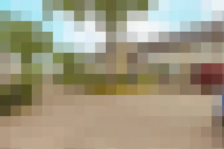 Bruine Berk 7 Zundert thumbnail 6