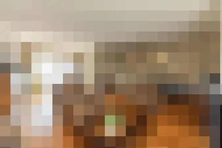 Bruine Berk 7 Zundert thumbnail 9