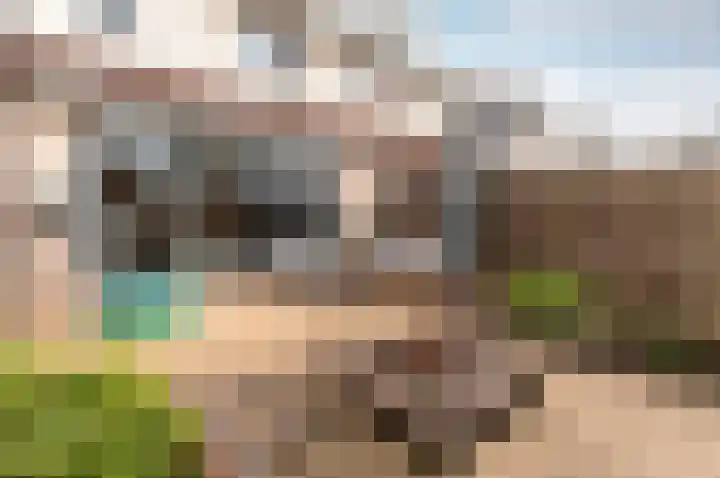 Bruinvispad 27 Almere thumbnail 30