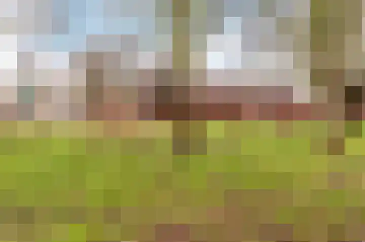 Bruinvispad 27 Almere thumbnail 33