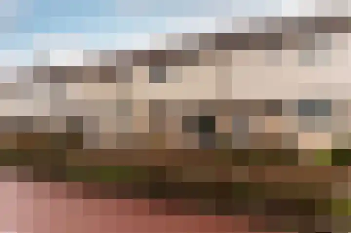 Bruinvispad 27 Almere thumbnail 34