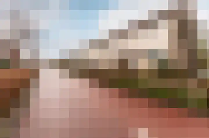 Bruinvispad 27 Almere thumbnail 36