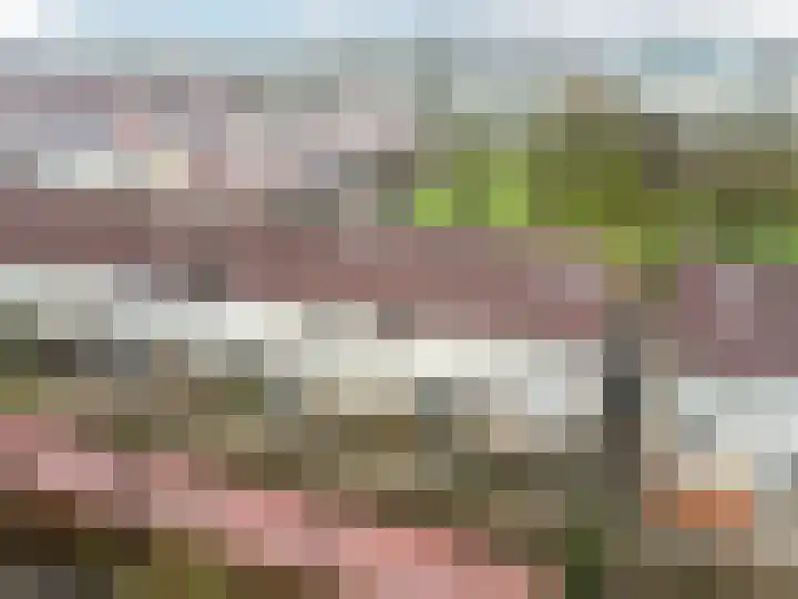 Bruinvispad 27 Almere thumbnail 42