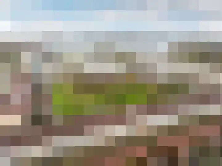 Bruinvispad 27 Almere thumbnail 43