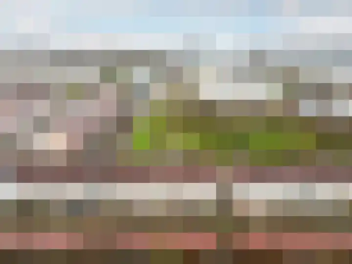 Bruinvispad 27 Almere thumbnail 44