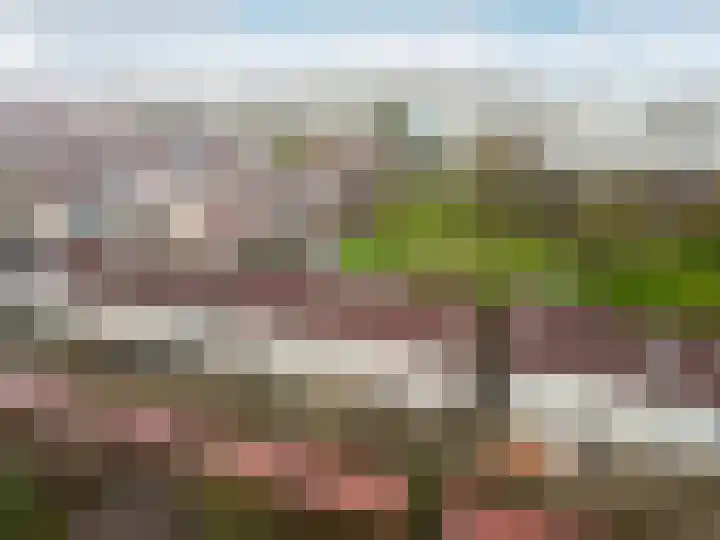 Bruinvispad 27 Almere thumbnail 45