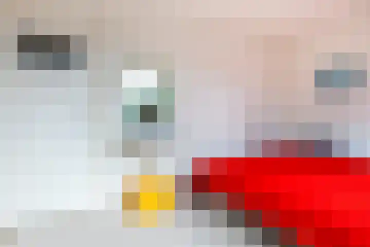 Bruisdreef 20 Utrecht thumbnail 15