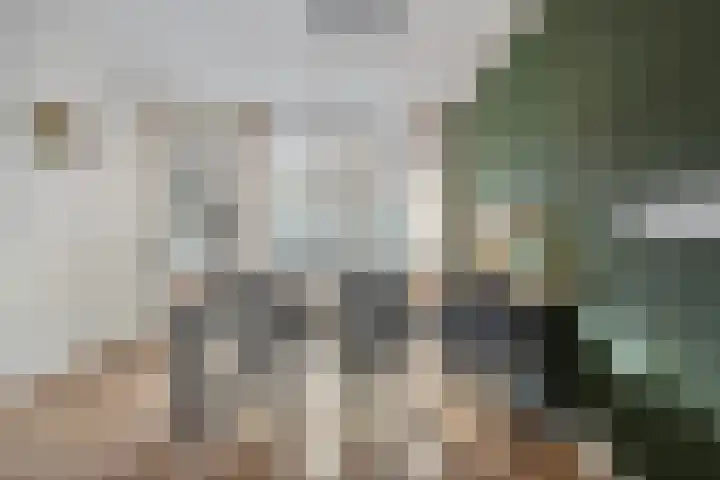 Brummelkampstraat 15 Kampen thumbnail 10