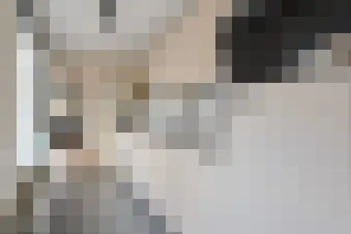 Brummelkampstraat 15 Kampen thumbnail 11