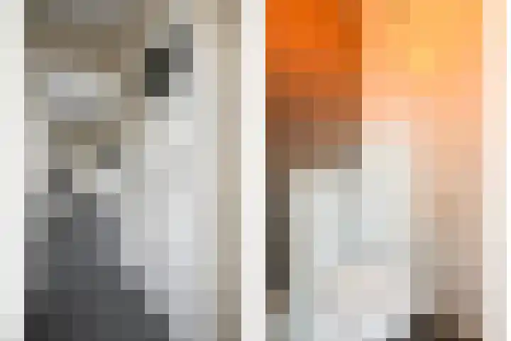 Brummelkampstraat 15 Kampen thumbnail 14