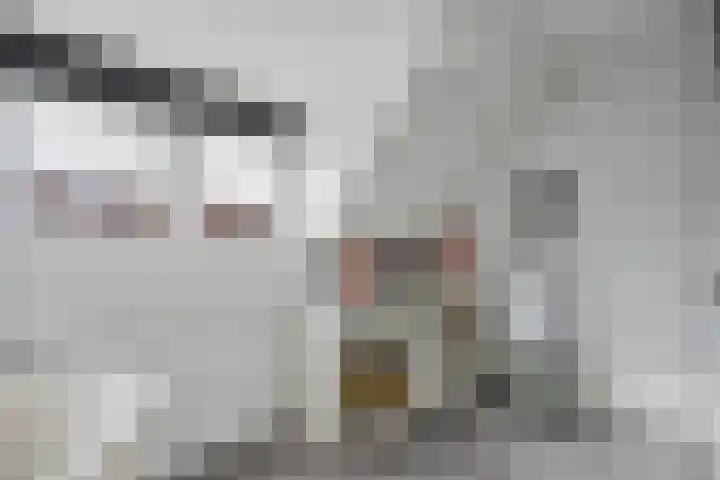 Brummelkampstraat 15 Kampen thumbnail 18