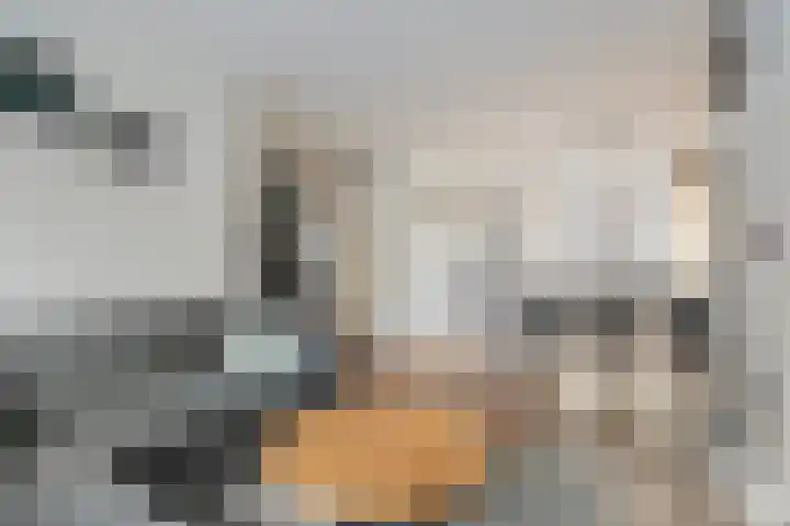 Brummelkampstraat 15 Kampen thumbnail 6