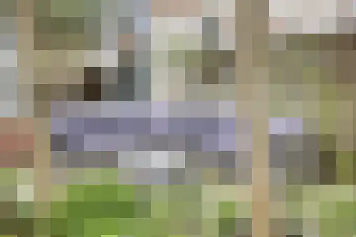 Brunel 14 Kampen thumbnail 22