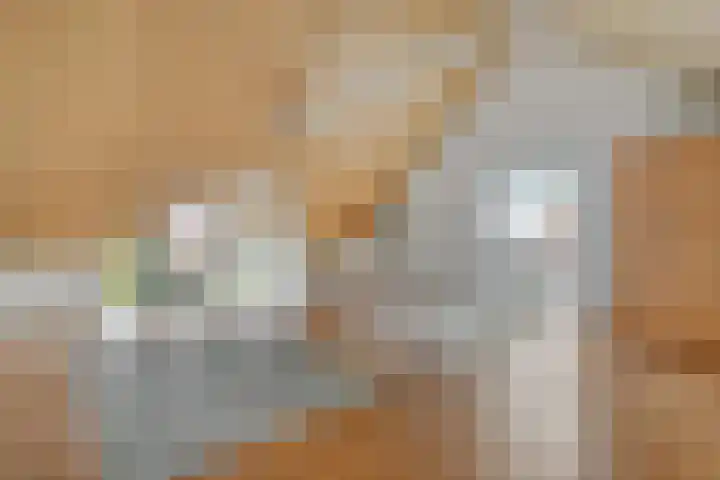 Brunel 16 Meppel thumbnail 36