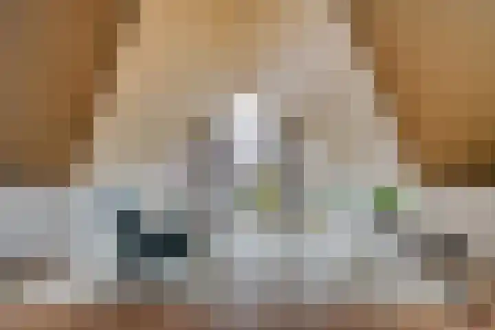 Brunel 16 Meppel thumbnail 38