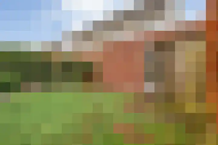 Brunel 16 Meppel thumbnail 41