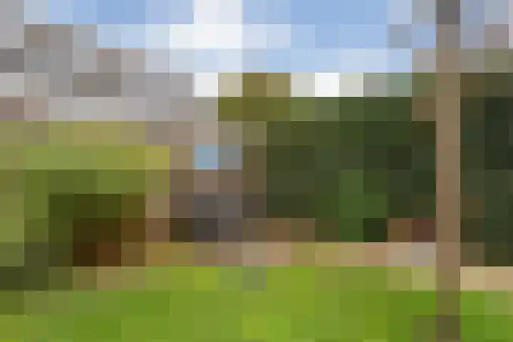 Brunel 16 Meppel thumbnail 42