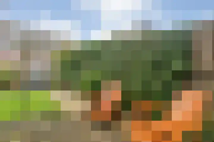 Brunel 16 Meppel thumbnail 43