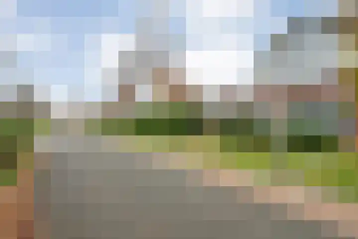 Brunel 16 Meppel thumbnail 47