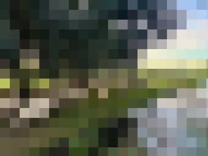 Brunel 16 Meppel thumbnail 51