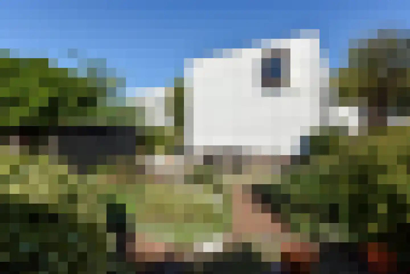 Brunel 17 Uithoorn thumbnail 7