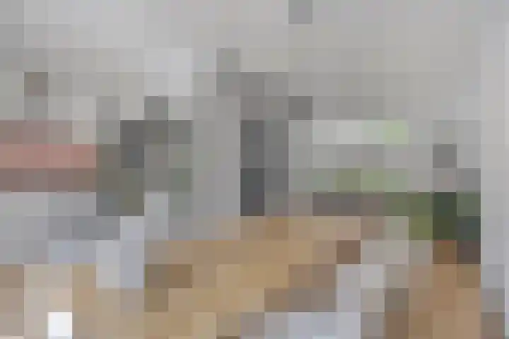 Brunel 19 Meppel thumbnail 14