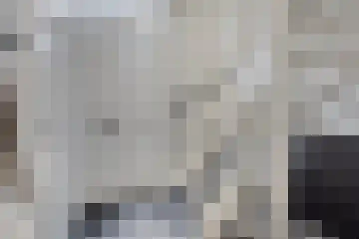 Brunel 19 Meppel thumbnail 22