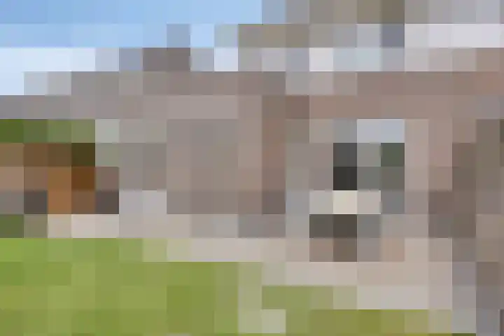 Brunel 19 Meppel thumbnail 39