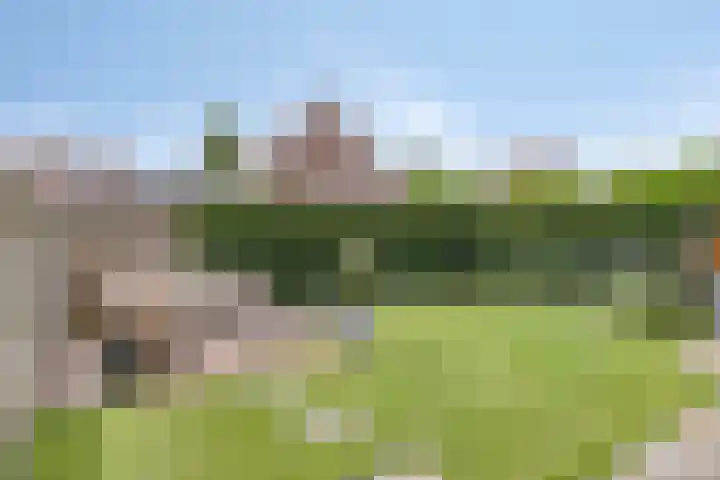 Brunel 19 Meppel thumbnail 4