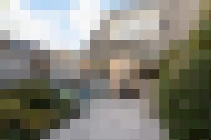 Brunel 28 IJsselstein thumbnail 21