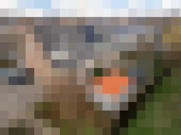 Brunel 28 IJsselstein thumbnail 34
