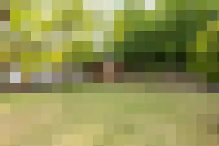Brunssummerweg 13 Landgraaf thumbnail 24