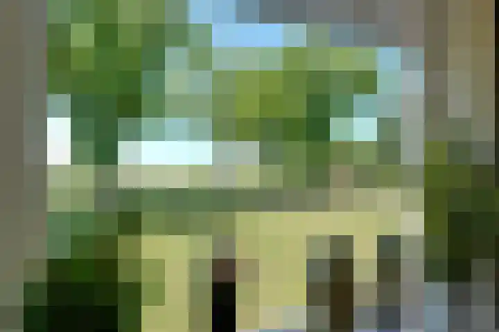 Brunsting 7 Beilen thumbnail 10