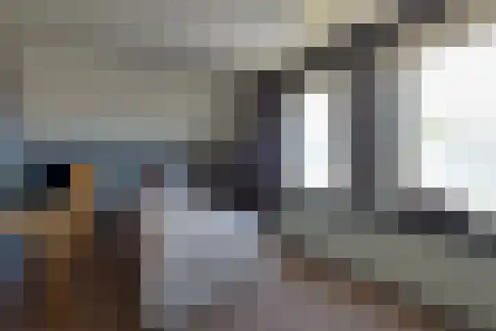 Brunsting 7 Beilen thumbnail 16