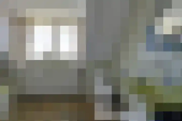 Brunsting 7 Beilen thumbnail 20