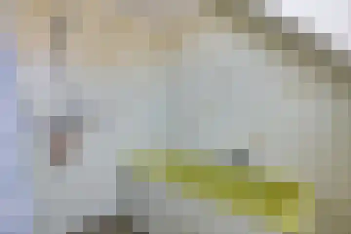Brunsting 7 Beilen thumbnail 21