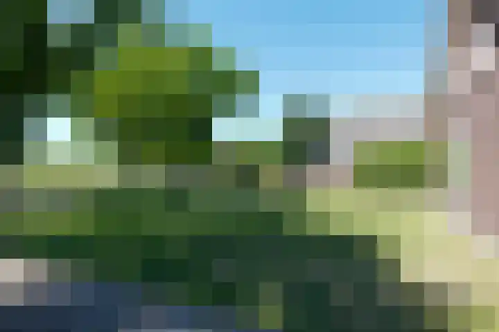 Brunsting 7 Beilen thumbnail 22