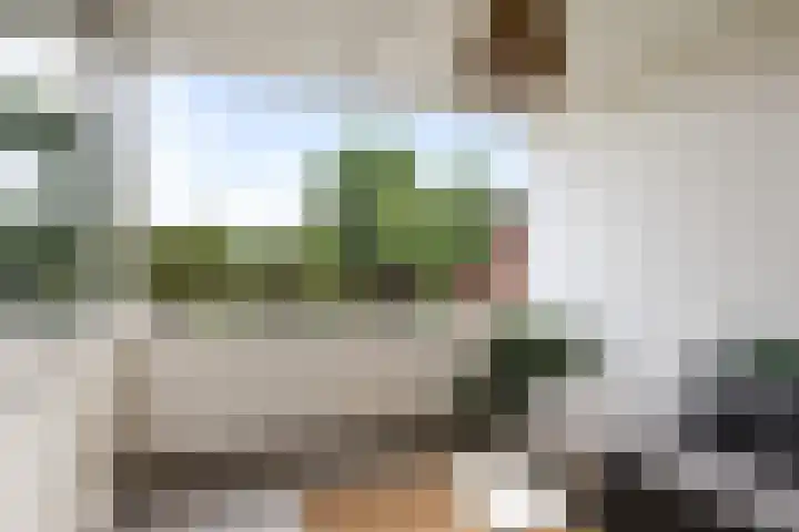 Brunsting 7 Beilen thumbnail 24