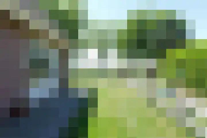 Brunsting 7 Beilen thumbnail 26