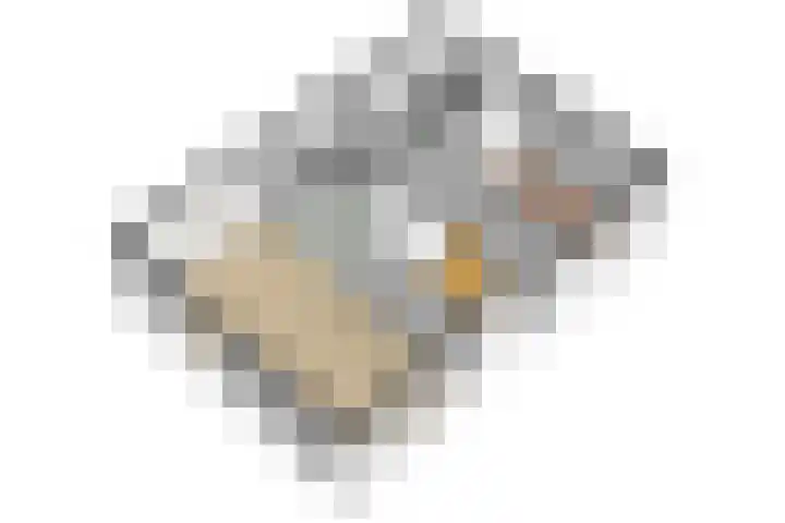 Brunsting 7 Beilen thumbnail 30