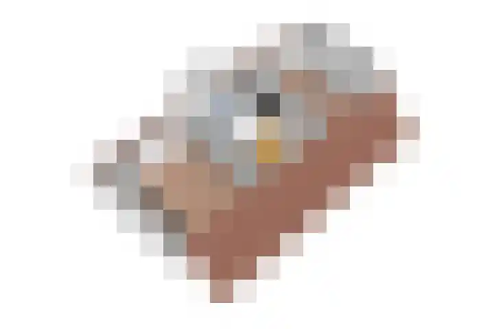 Brunsting 7 Beilen thumbnail 33
