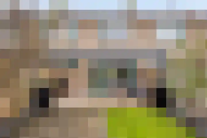Brunsting 7 Beilen thumbnail 41