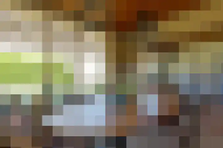 Brunsting 7 Beilen thumbnail 9