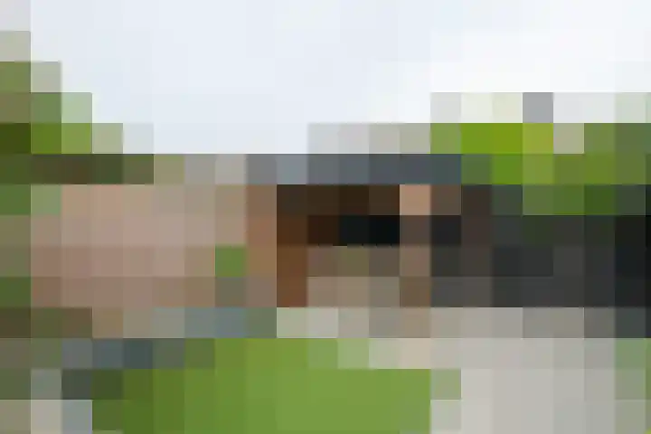 Bruntstraat 9 Terborg thumbnail 38